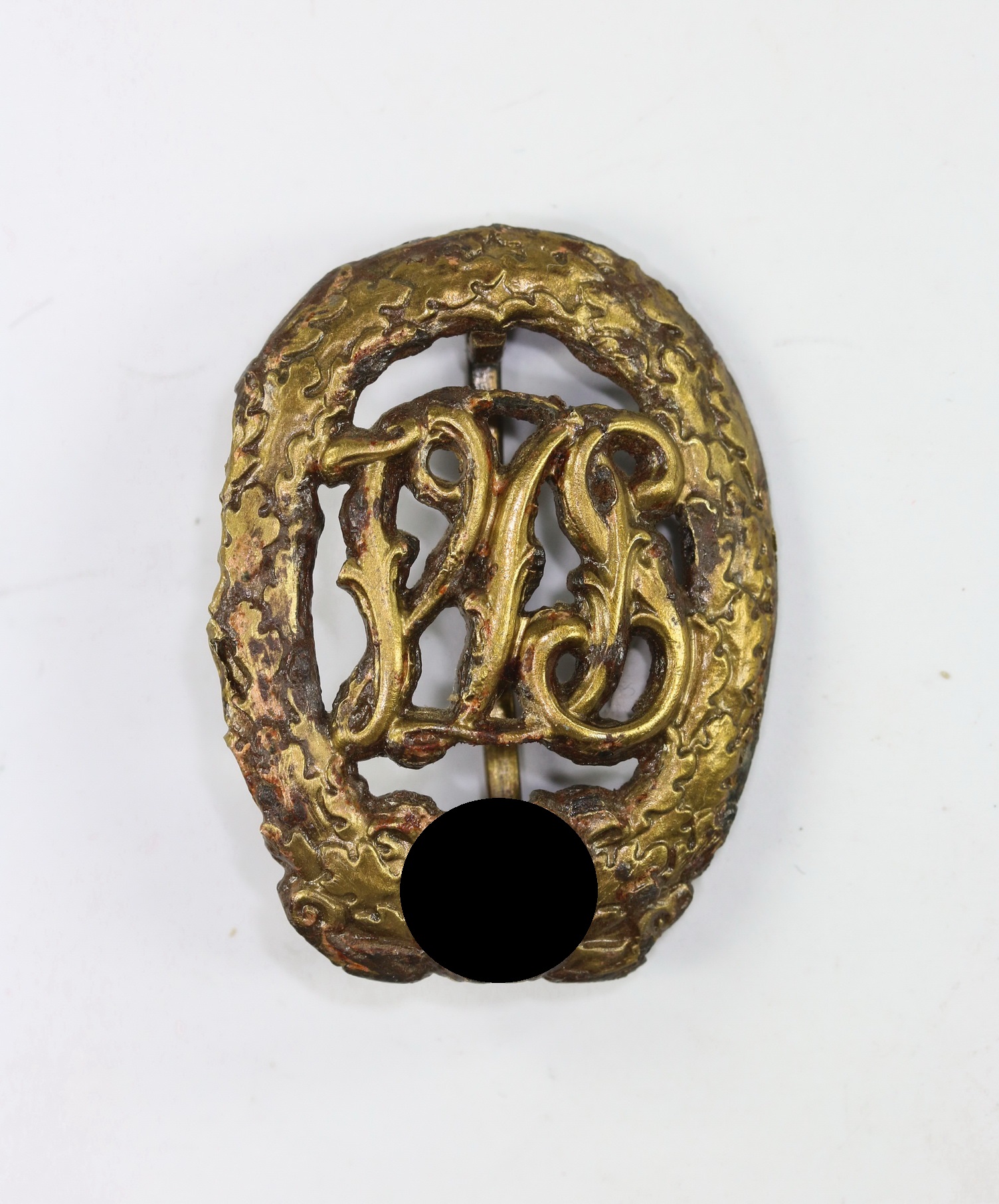 img_2730_bildgr_e_ndern_1_1 Sportabzeichen der Deutschen Volksgruppe in Ungarn (VDS) – Bild 1