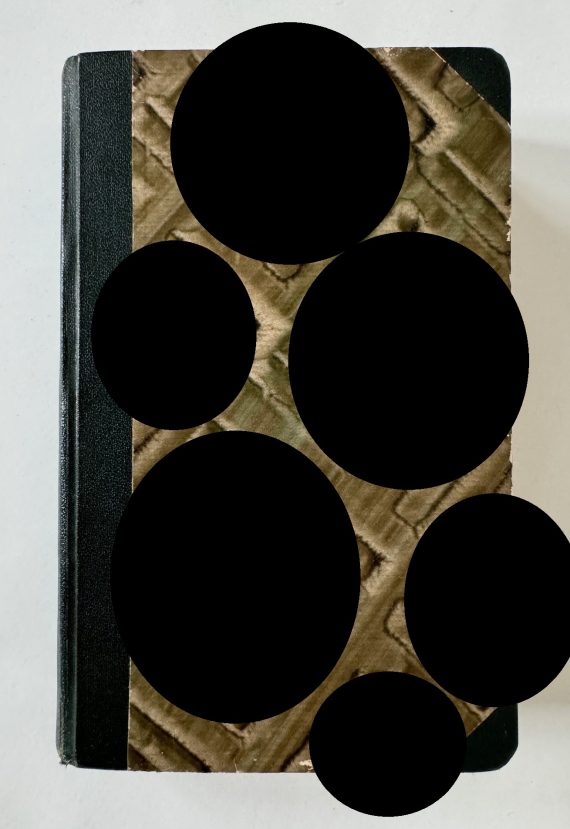 adolf_hitler_mein_kampf_volksausgabe_1932_hakenkreuz_einband_1__1