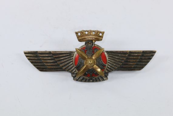 flugzeugf_hrerabzeichen_legion_condor_paul_meybauer_1_