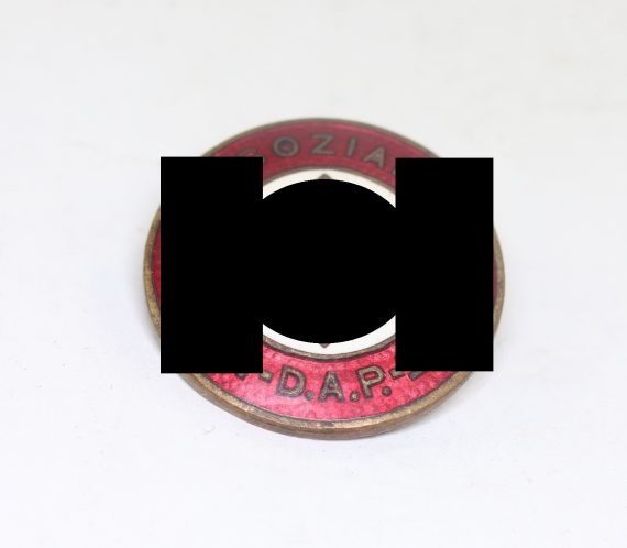 fr_hes_nsdap_parteiabzeichen_1__3