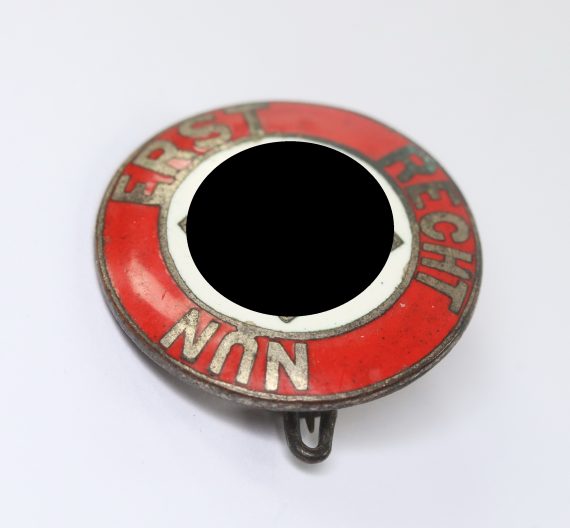 nsdap_sympathisanten_abzeichen_nun_erst_recht_1__1