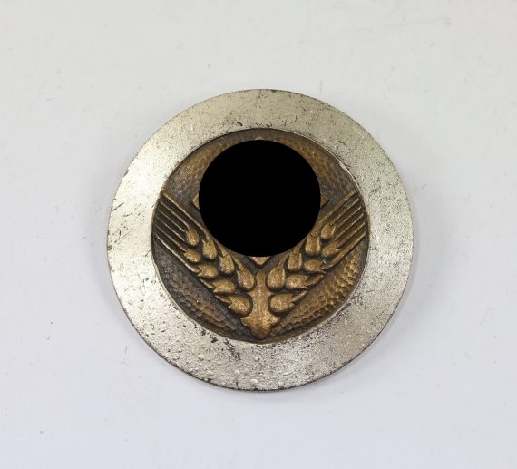 reichsarbeitsdienst_weibliche_jugend_radwj_brosche_f_r_sonderf_hrerin_1__1